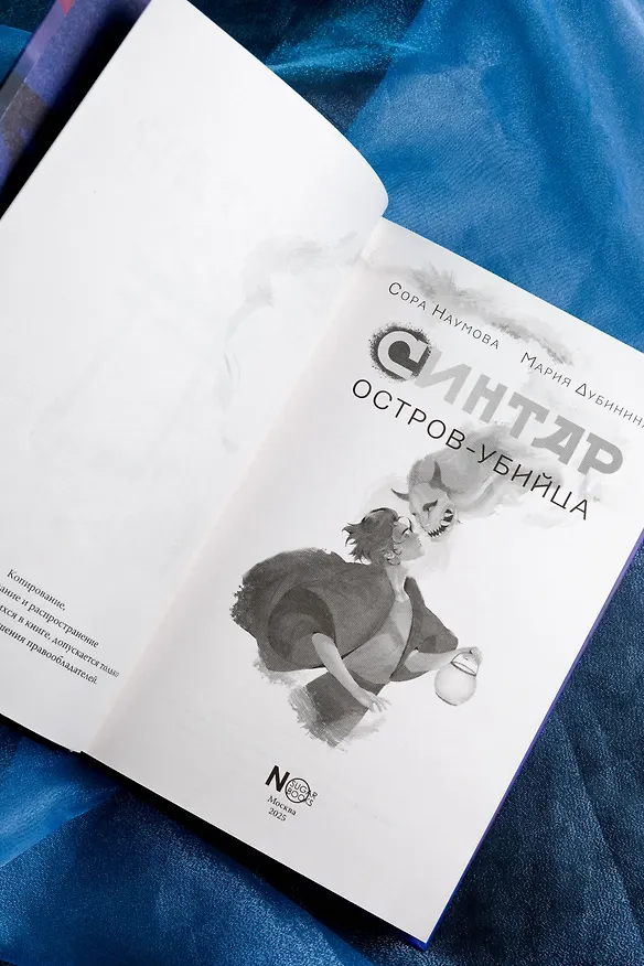 Книга Синтар (Сора Наумова, Мария Дубинина) — 14