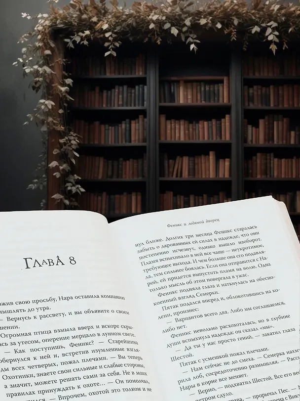 Книга Рожденная огнем. Книга 2. Феникс и ледяной дворец (Ашлин Фаулер) — 6
