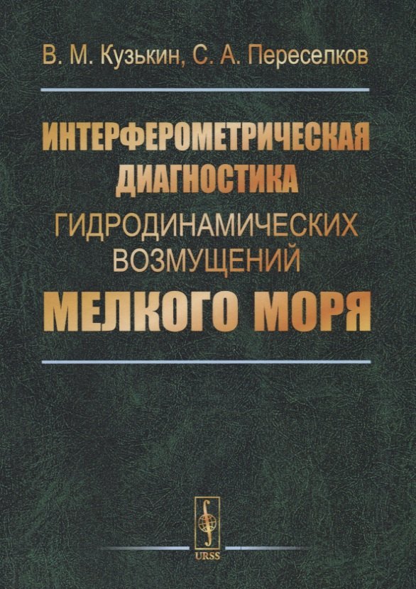 Интерферометрическая диагностика гидродинамических возмущений мелкого моря