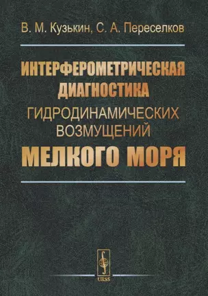 Интерферометрическая диагностика гидродинамических возмущений мелкого моря — 2717235 — 1