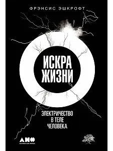 Искра жизни: Электричество в теле человека