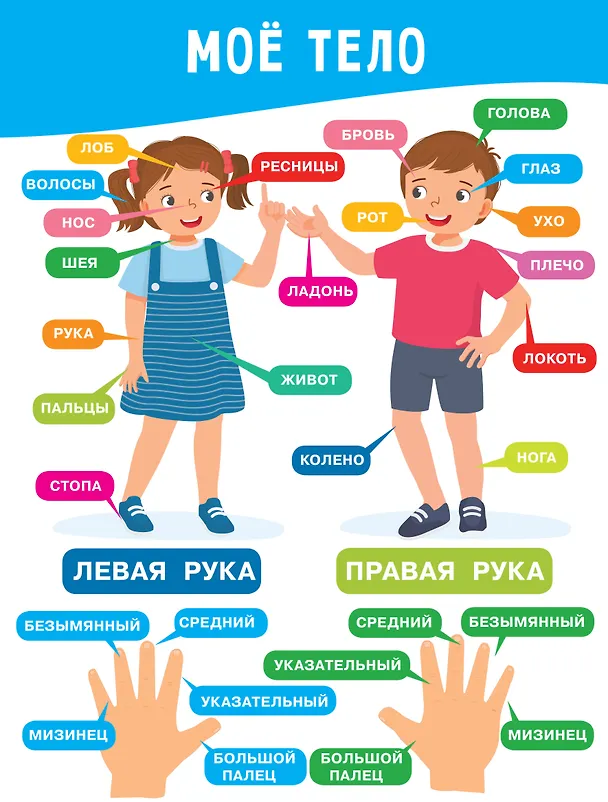 Книга 11 больших настенных плакатов для дошколят. Всё что нужно знать (Валентина Дмитриева) — 13