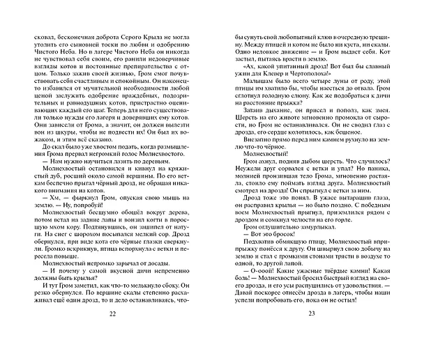 Книга Звёздная тропа (Эрин Хантер) — 11