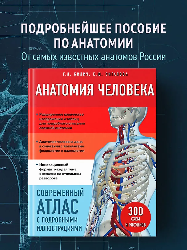 Книга Анатомия человека. Современный атлас с подробными иллюстрациями (Елена Зигалова, Габриэль Билич) — 6
