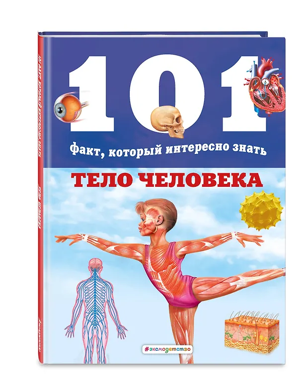 Книга Тело человека (Мириам Бакеро) — 4