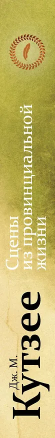 Книга Сцены из провинциальной жизни (Джон Кутзее) — 3