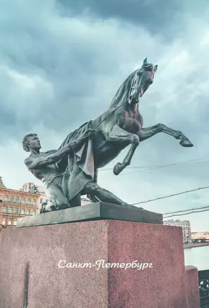 Открытка одинарная с конвертом СПб Аничков мост. Фотограф П. Демичев — 2903749 — 1