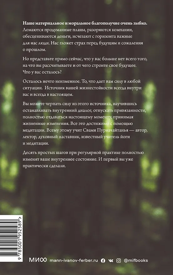 Книга Источник силы. Как найти ресурсы внутри себя и обрести спокойствие в меняющемся мире (Свами Пурначайтанья) — 2