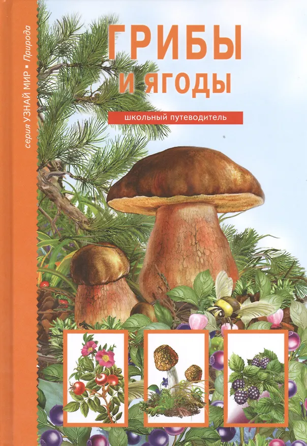 Книга Грибы и ягоды. (Сергей Афонькин) — 1