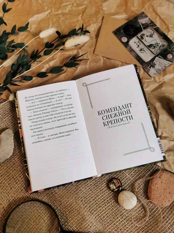 Книга Тимур и его команда (Аркадий Гайдар) — 9