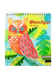 Скетчбук А5 168*195 48л  Филин чёрная, серая, зелёная бумага 120г/м2, карт.обл., гребень