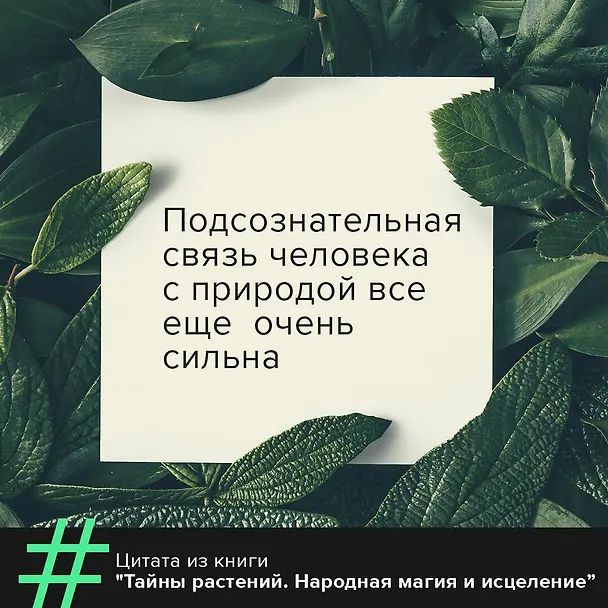 Книга Тайны растений. Народная магия и исцеление (Фез Инкрайт) — 9