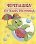 Черепашка-путешественница — 3004874 — 1
