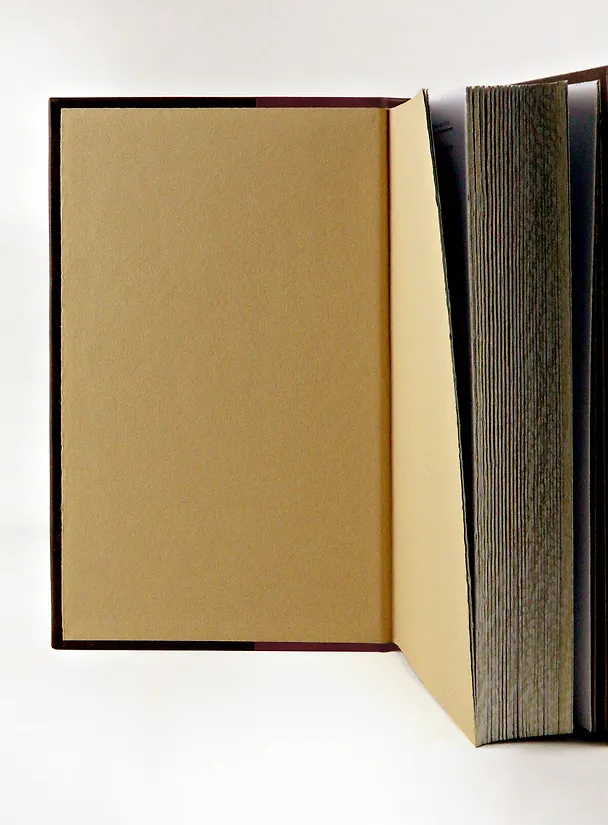 Книга "Канон Ангелу Грозному". Искусство власти. Великие правители мира. Коллекционное подарочное иллюстрированное издание в инкрустированном переплете ручной работы из натуральной кожи с изящным тиснением в русском стиле 19 века (Иоанн Грозный) — 8