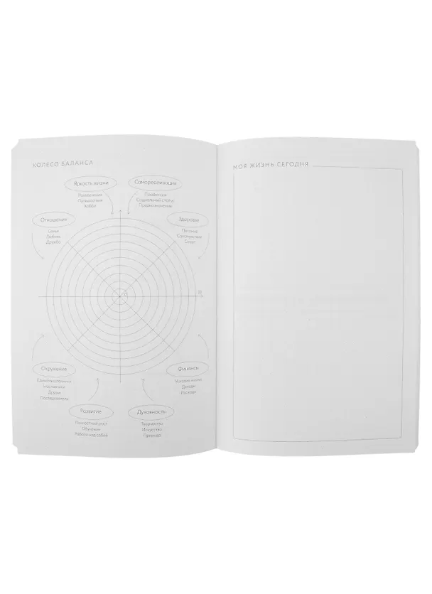 Книга Visual planner: Цели. Мечты. Достижения. Ежедневник (ежевика) (Юлия Головина) — 5