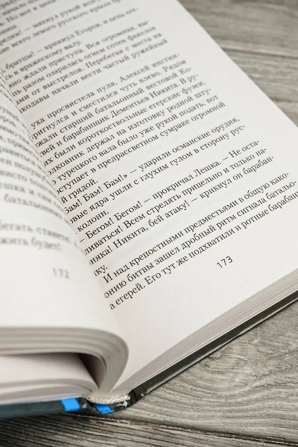 Книга Егерь Императрицы. Глазомер! Быстрота! Натиск! (Андрей Булычев) — 11