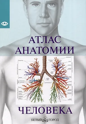 Книга Атлас анатомии человека, изд 2025 ()