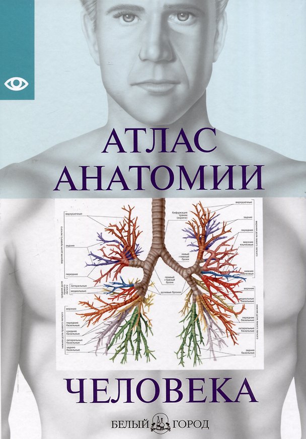 Книга Атлас анатомии человека, изд 2025 () — 1