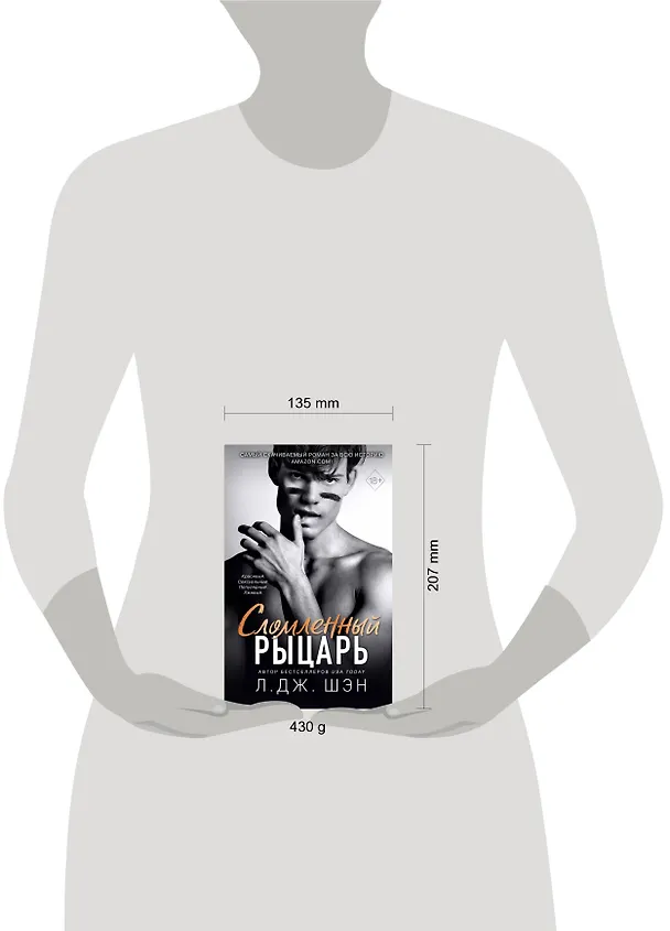Книга Сломленный рыцарь (Л.Дж. Шэн) — 9