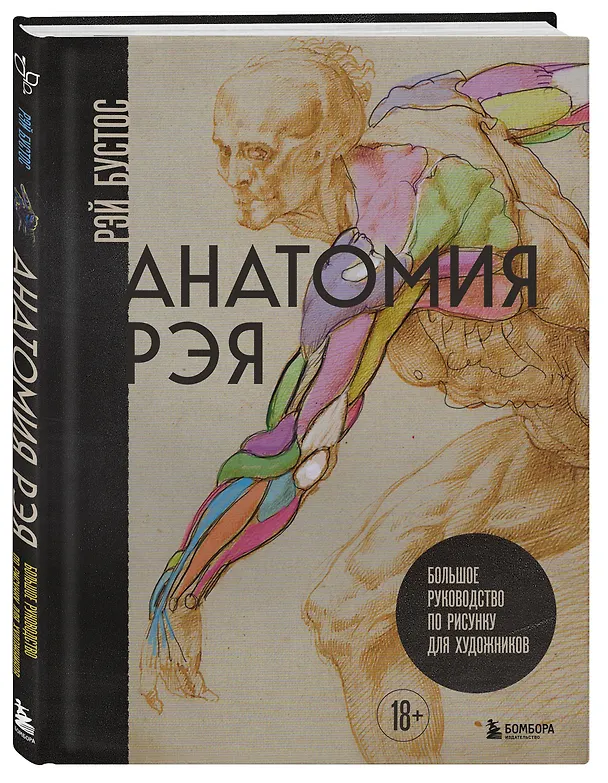 Книга Анатомия Рэя. Большое руководство по рисунку для художников (Рэй Бустос) — 4