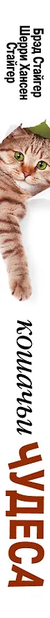 Книга Кошачьи чудеса () — 3