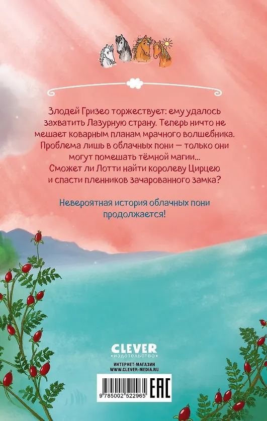 Книга Облачные пони. Тайна зачарованного замка (Барбара Розе) — 2