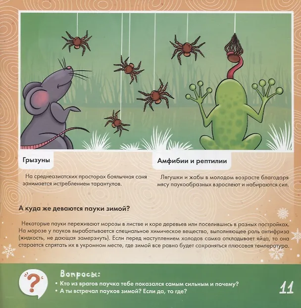 Книга Паук - удивительное творение Аллаха (Альфия Харисовна) — 4
