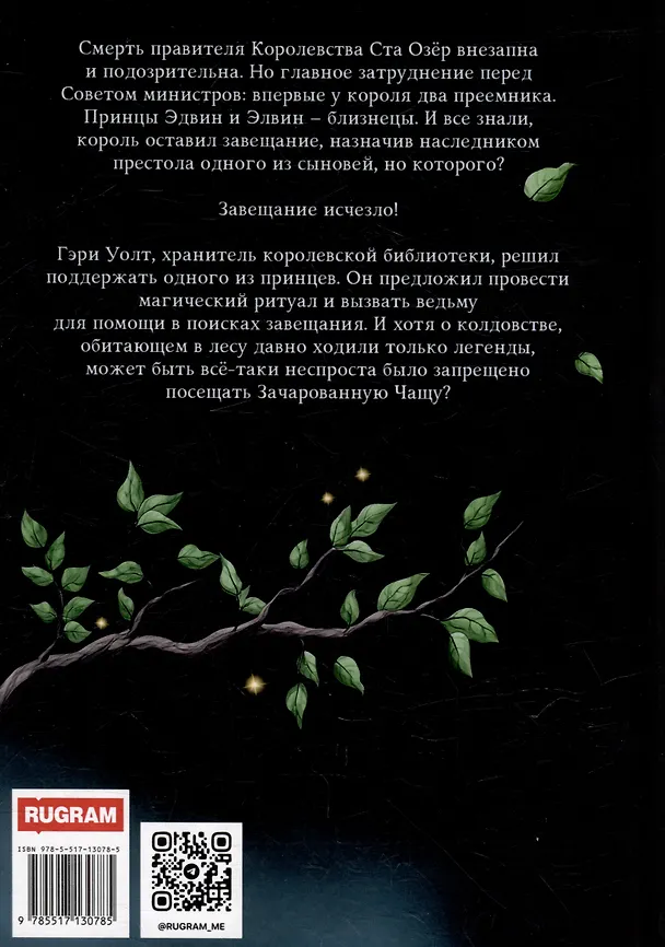 Книга Завещание короля (Анастасия Альт) — 2