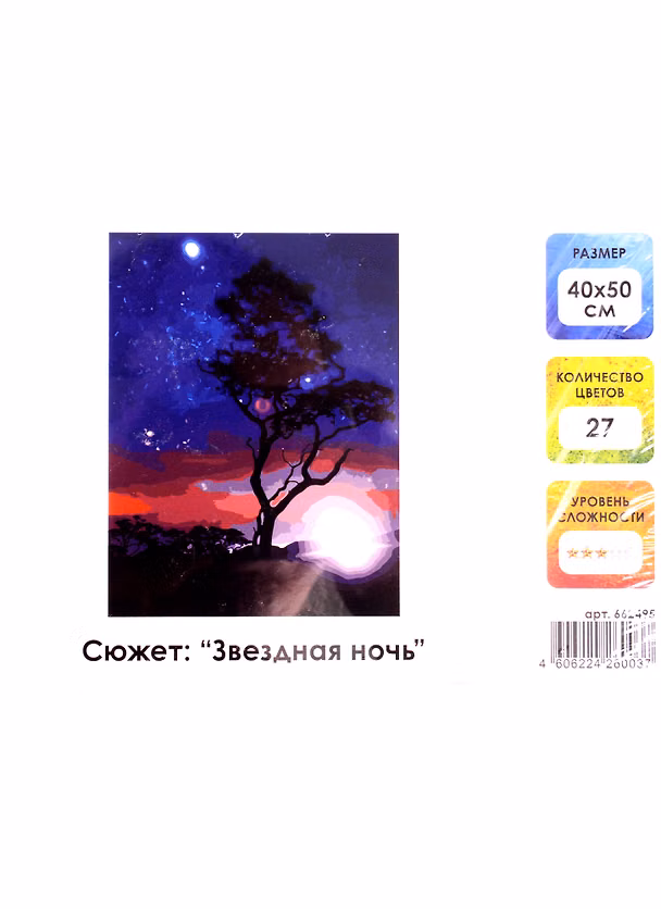 Картина-раскраска по номерам «Звездная ночь», 40 х 50 см, 27 цветов, на холсте с подрамником, Остров Сокровищ 2851804 — 1