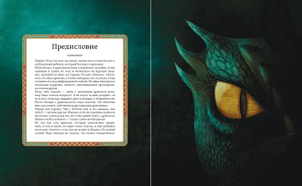 Книга БОЛЬШАЯ КНИГА О ДРАКОНАХ (Федерика Магрин) — 7