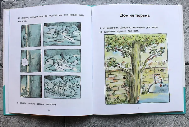 Книга Кот Пончик. Дом кота (Ронан Бадель) — 8