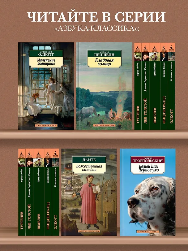 Книга Василий Теркин: Книга про бойца (Александр Твардовский) — 5