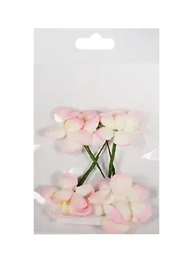 Цветы сакуры розово-бежевые (SCB291204) (d=3,5см) (набор/4шт.) (ScrapBerrys) (упаковка)
