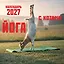 Йога с козами. Календарь настенный на 2027 год (300х300 мм) — 3172915 — 1