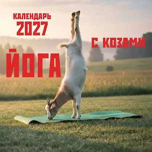 Йога с козами. Календарь настенный на 2027 год (300х300 мм) 3172915