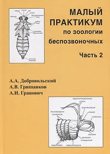 Малый практикум по зоологии беспозвоночных. Часть 2