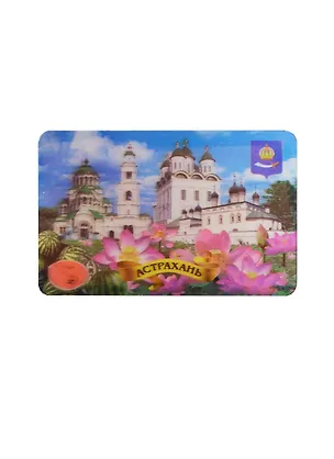 Магнит 3D винил "Астрахань" (028-82K4) 2365406