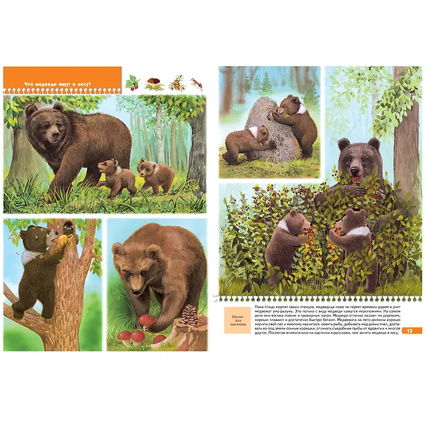 Книга Тайны природы. Для занятий с детьми от 5 до 6 лет (Юрий Дорожин) — 3