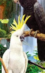 Закладка 3D 84 (Мир открытий)