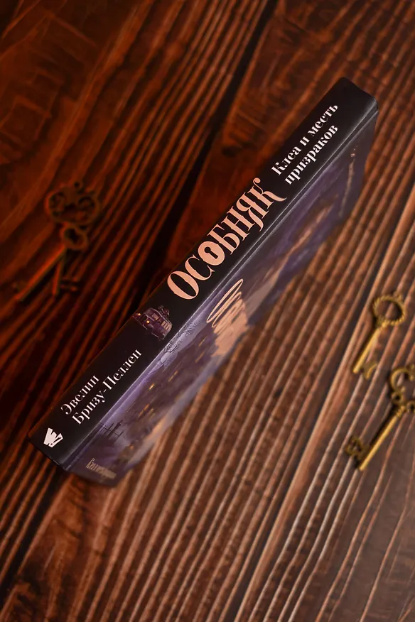 Книга Особняк. Клеа и месть призраков (Эвелин Бризу-Пеллен) — 11