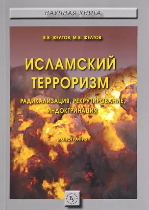 Исламский терроризм: радикализация, рекрутирование, индоктринация — 2626930 — 1