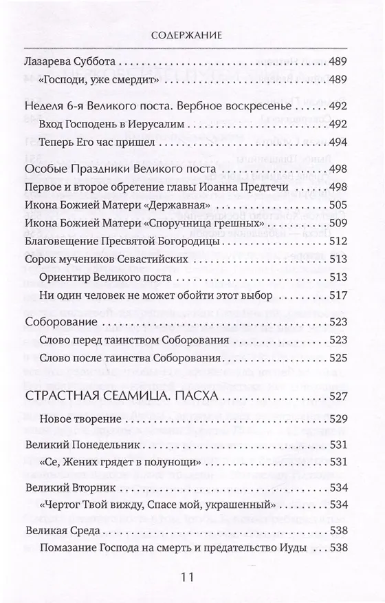 Книга Время Великого поста (Александр Шаргунов) — 10