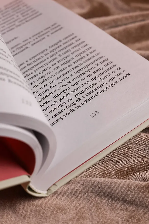 Книга Сценаристка (Светлана Павлова) — 14