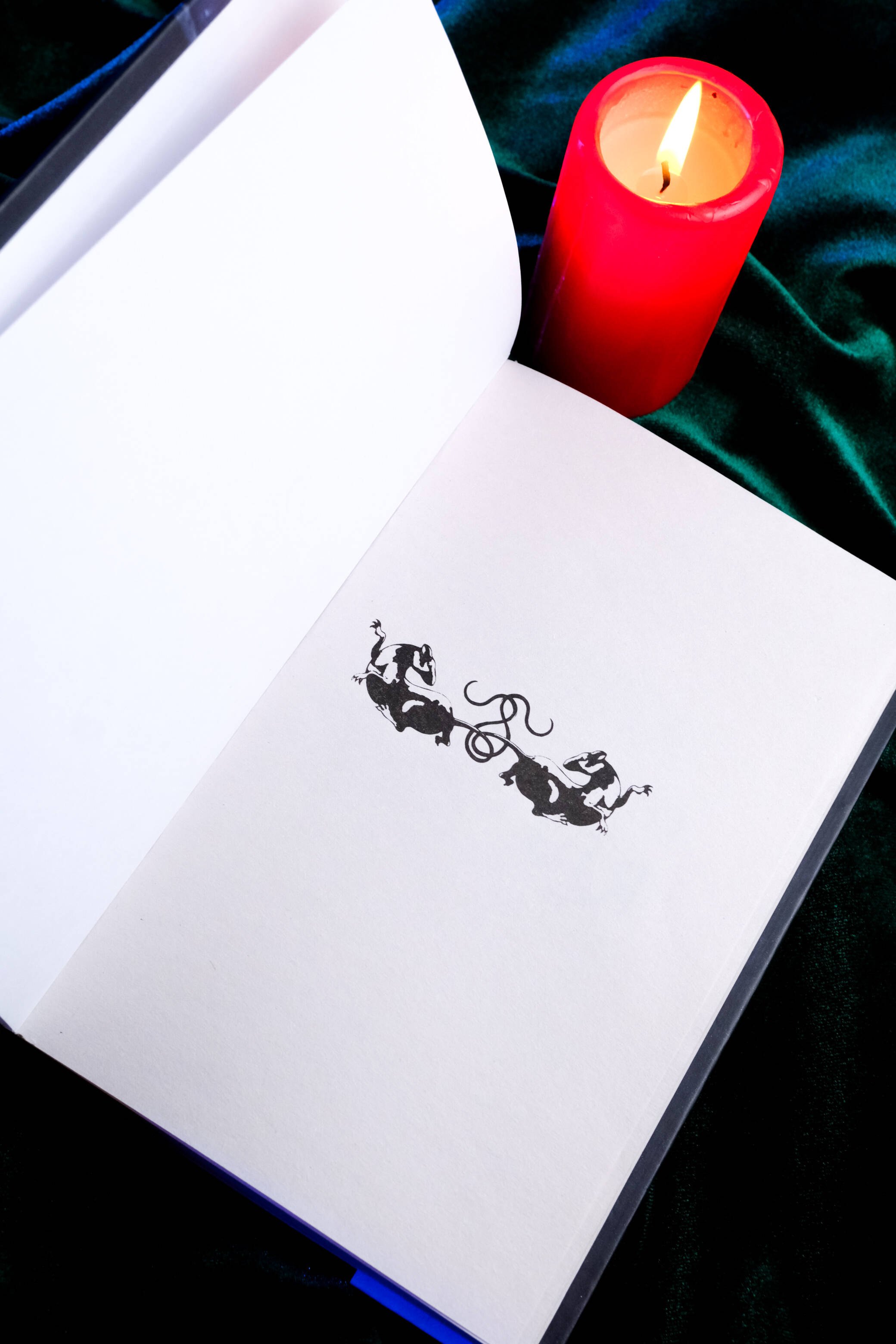 Изображение бумажной книги