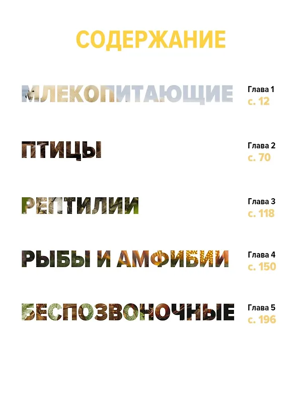 Книга Тайны животных. Большая иллюстрированная энциклопедия (Клаудио Бертонатти, Хавьер А. Перейра) — 8