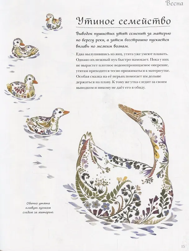Книга Год в лесу (Хелен Апорнсири) — 3