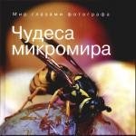 

Чудеса микромира