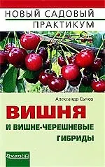 Вишня и вишне-черешневые гибриды