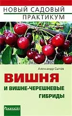 Вишня и вишне-черешневые гибриды — 2194732 — 1