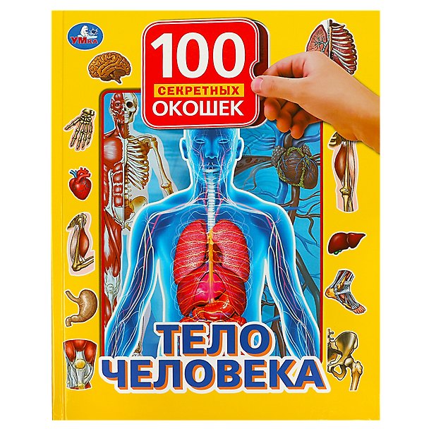 Книга Тело человека () — 1